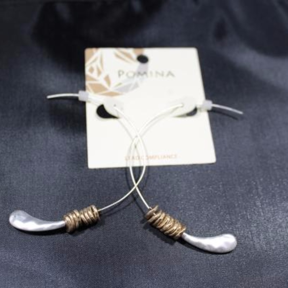 Jewelry Silver and Gold Big Earring